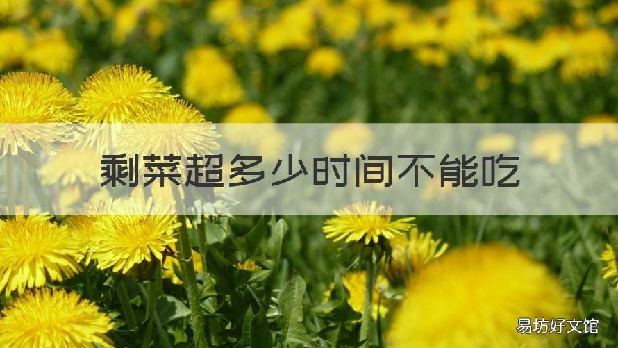 剩菜超多少时间不能吃 剩菜超过24小时能吃吗
