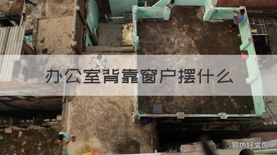 办公室背靠窗户摆什么 办公室背靠窗户摆什么绿植