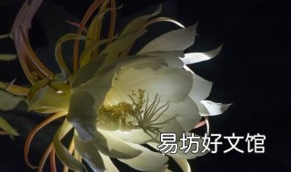 黑色系暴涨昙花一现 2016年黑色系暴涨