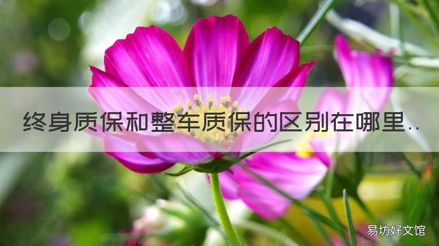 终身质保和整车质保的区别在哪里 汽车的终身质保具体包含什么