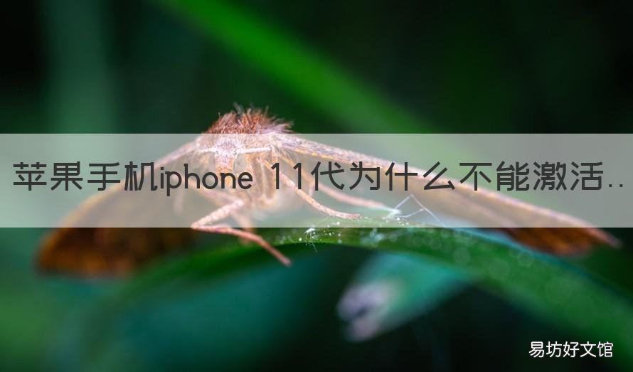 苹果手机iphone 11代为什么不能激活 苹果11有问题么