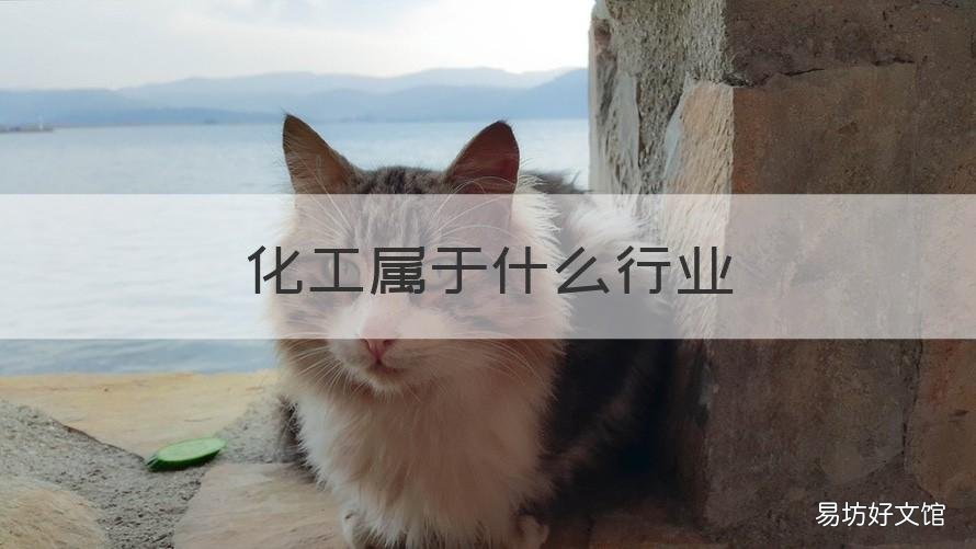 化工属于什么行业 化工属于什么行业分类