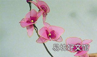 丝袜花的做法 丝袜花的做法康乃馨