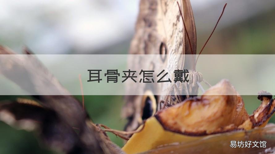 耳骨夹怎么戴 耳骨夹怎么戴上耳朵