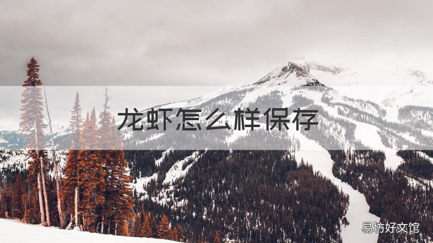 龙虾怎么样保存 龙虾怎么样保存时间长