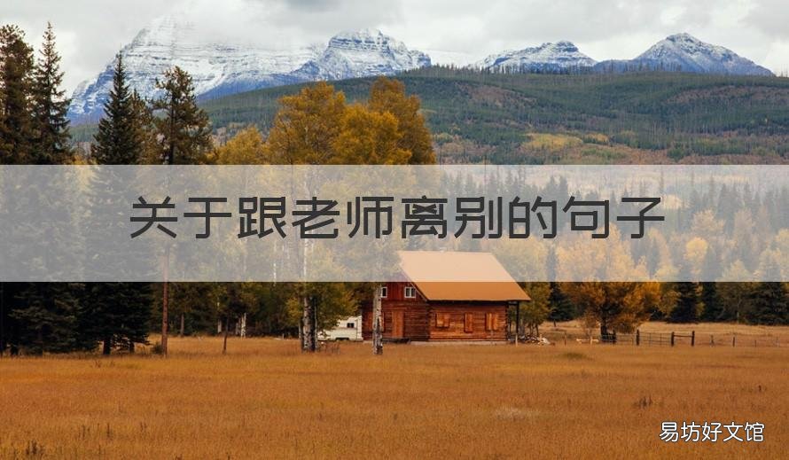 关于跟老师离别的句子 与老师离别时的句子
