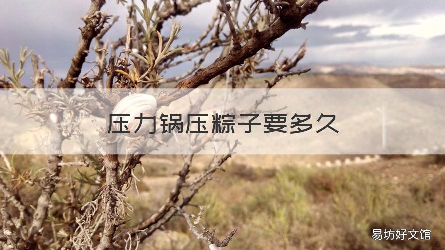 压力锅压粽子要多久 粽子压力锅多长时间