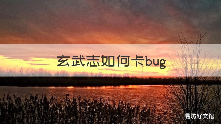 玄武志如何卡bug