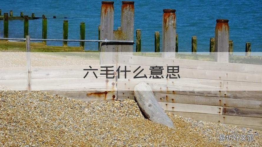 六毛什么意思 六毛是什么意思