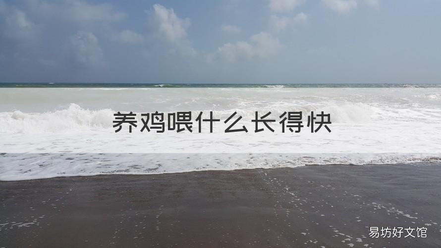 养鸡喂什么长得快 喂鸡喂什么长得快
