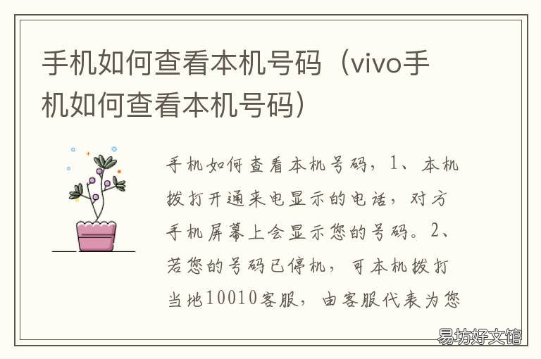 手机如何查看本机号码 手机如何查看本机号码是多少