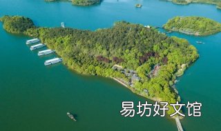 天目湖砂锅鱼头 天目湖砂锅鱼头正宗做法
