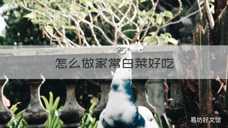 怎么做家常白菜好吃 怎么做家常白菜好吃窍门