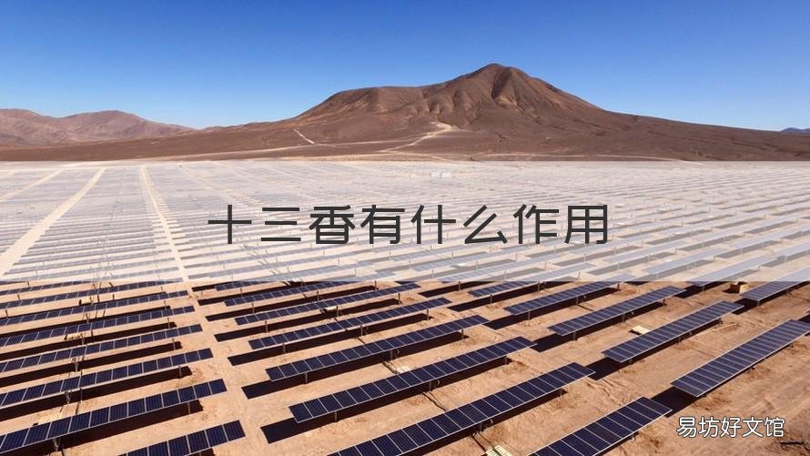 十三香有什么作用 十三香主要作用是什么