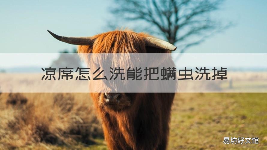 凉席怎么洗能把螨虫洗掉 凉席怎么去螨虫