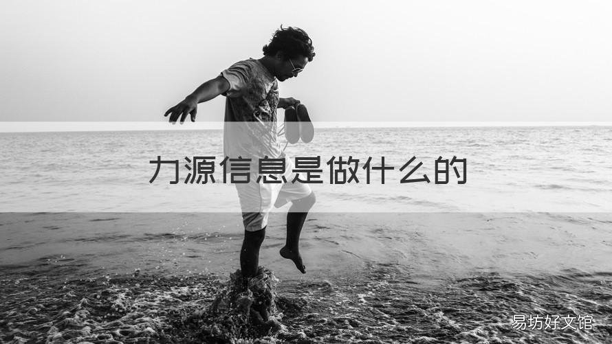 力源信息是做什么的 力源信息什么概念