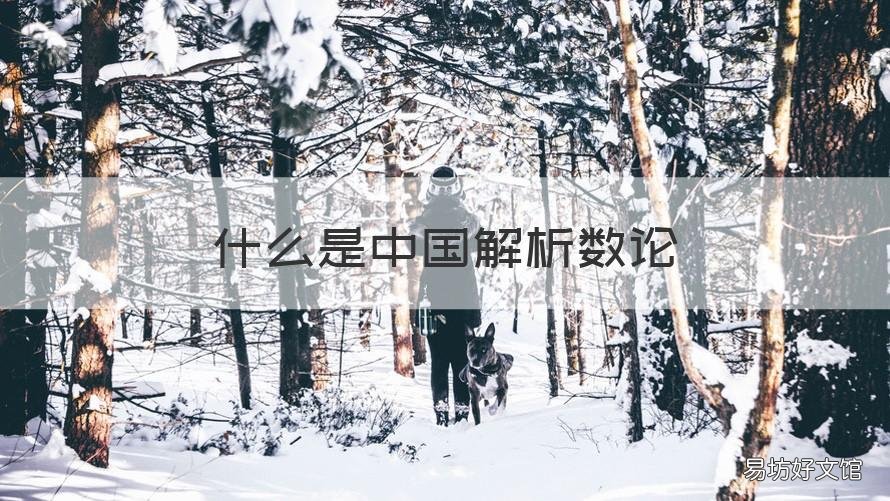 什么是中国解析数论 中国解析数论学派