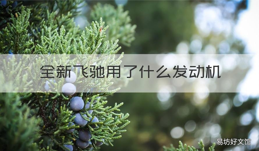 全新飞驰用了什么发动机 新一代飞驰