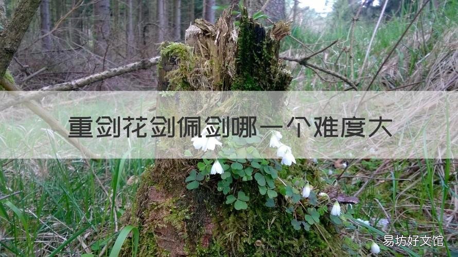 重剑花剑佩剑哪一个难度大 花剑重剑和佩剑哪个厉害