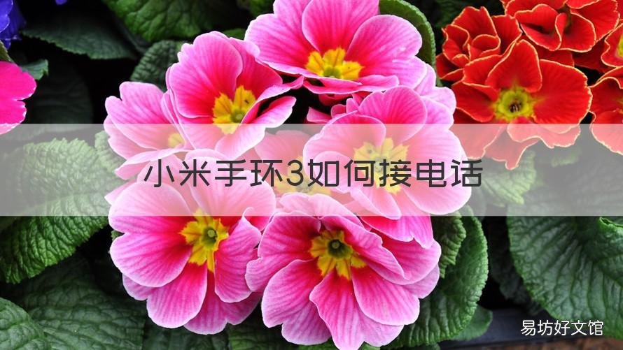 小米手环3如何接电话 小米手环三怎么打电话
