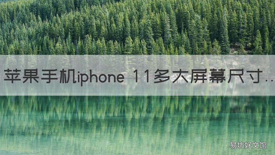苹果手机iphone 11多大屏幕尺寸 苹果11屏幕多大尺寸?