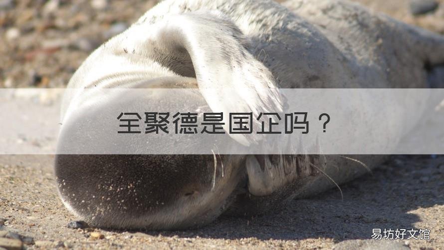 全聚德是国企吗 全聚德是什么企业