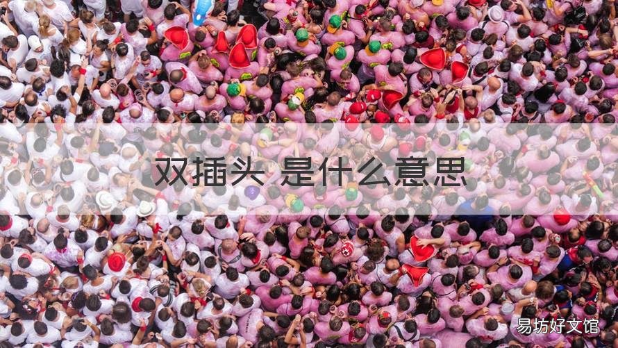 双插头 是什么意思 双插头是什么意思网络用语