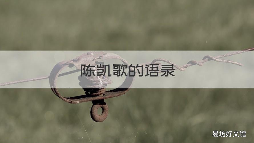 陈凯歌的语录 陈凯歌的经典语录
