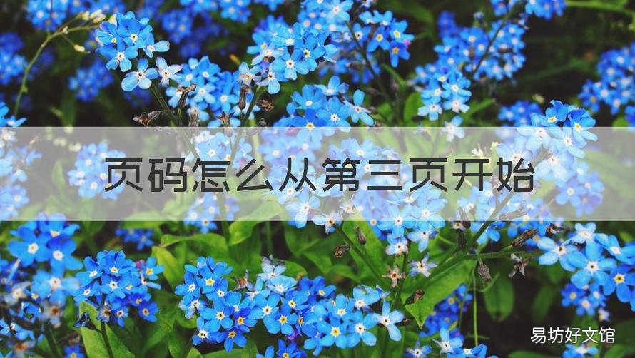 页码怎么从第三页开始 word插页码怎么从第三页开始