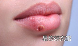 嘴上起水流泡吃什么好 嘴巴起水泡吃什么好