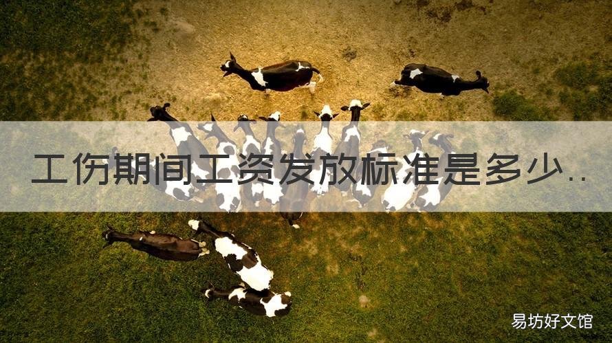 工伤期间工资发放标准是多少 工伤期间工资发放标准是多少钱