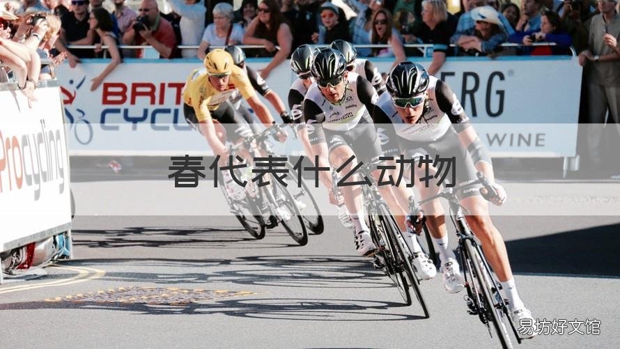 春代表什么动物 本自无心独占春代表什么动物
