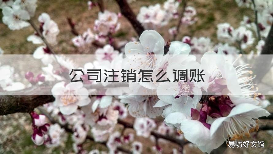 公司注销怎么调账 注销公司调账需要注意什么