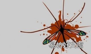 灭蚊子最有效的方法 自制灭蚊子最有效的方法