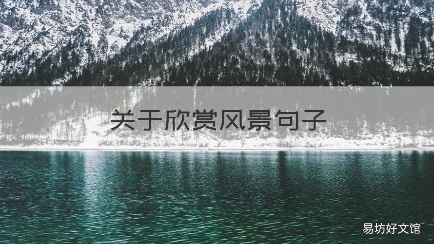 关于欣赏风景句子 关于欣赏风景句子简短