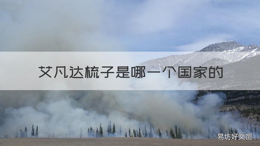 艾凡达梳子是哪一个国家的 艾凡达气垫梳是哪个国家的