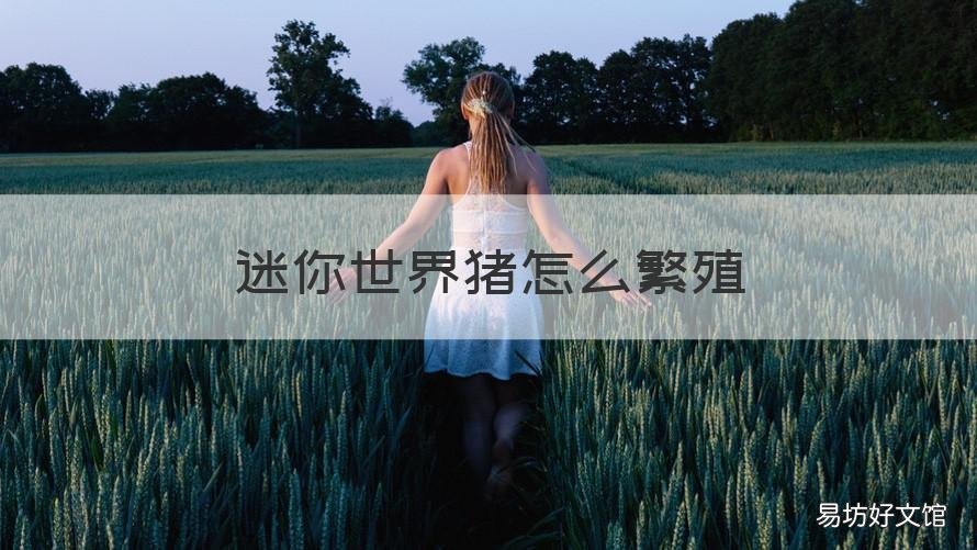 迷你世界猪怎么繁殖 迷你世界猪繁殖需要草垛吗