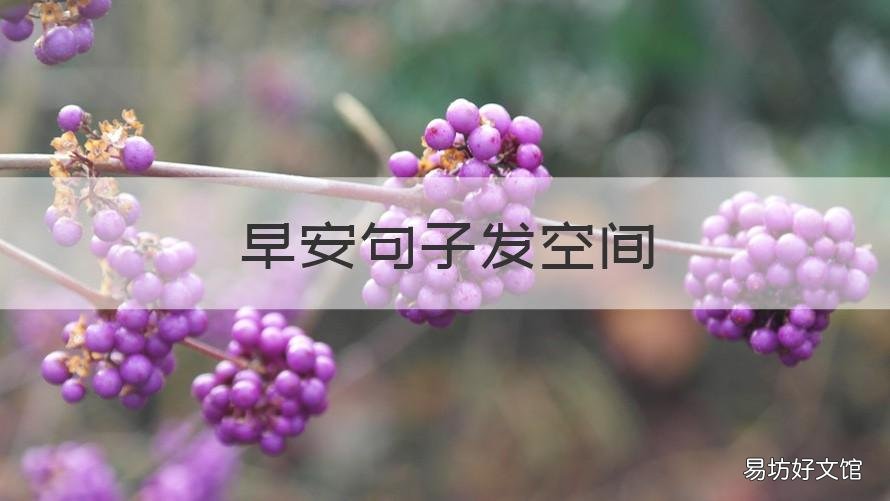 早安句子发空间 早安空间说说