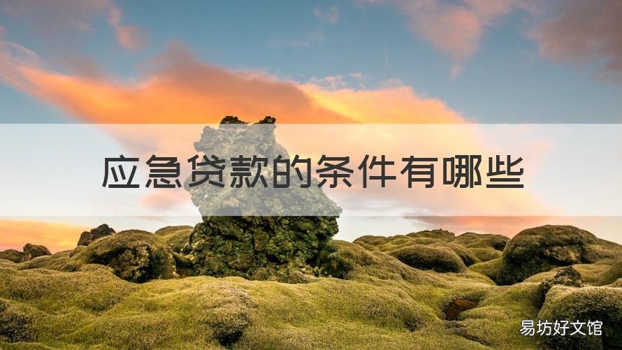 应急贷款的条件有哪些 应急贷款的条件有哪些内容