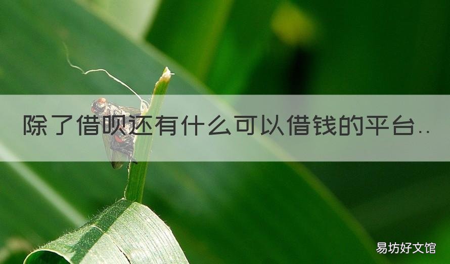 除了借呗还有什么可以借钱的平台 除了花呗和借呗还有什么可以借钱