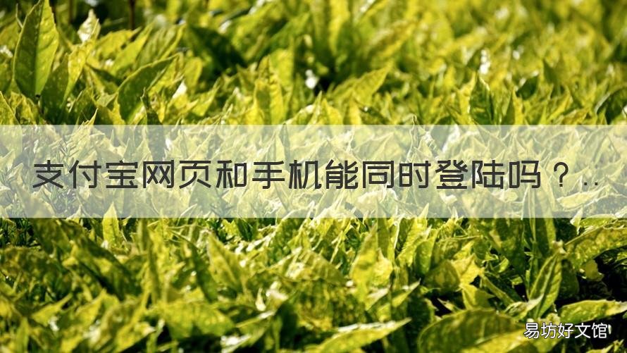 支付宝网页和手机能同时登陆吗