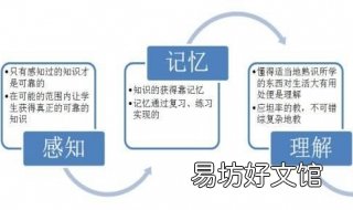 比的认识的学习过程 比的认识笔记