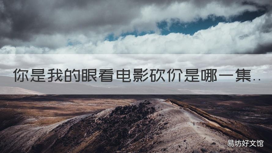 你是我的眼看电影砍价是哪一集 买电影票砍价是什么电影