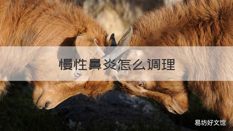 慢性鼻炎怎么调理 慢性鼻炎如何调理