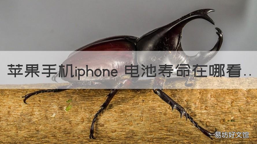 苹果手机iphone 电池寿命在哪看 iphone电池使用寿命在哪看