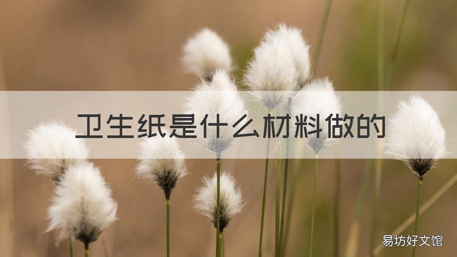 卫生纸是什么材料做的 卫生纸是用什么材料做的?