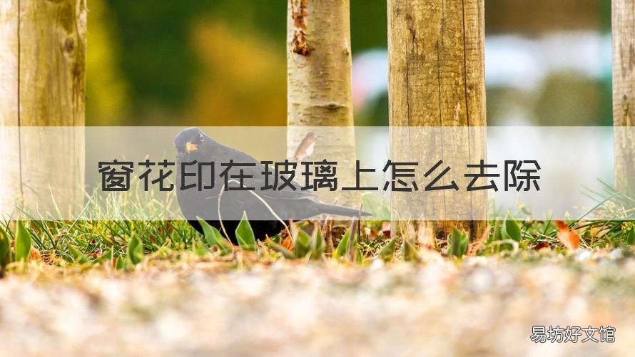 窗花印在玻璃上怎么去除 窗户上的窗花印怎么去除