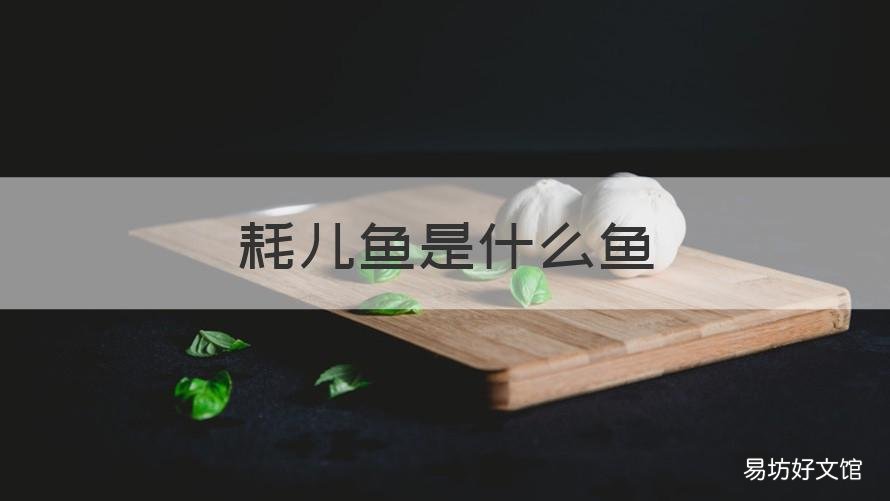 耗儿鱼是什么鱼 耗儿鱼是什么鱼图片
