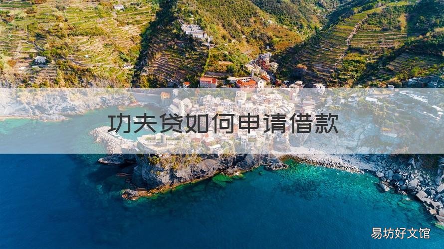 功夫贷如何申请借款 功夫贷如何申请借款成功