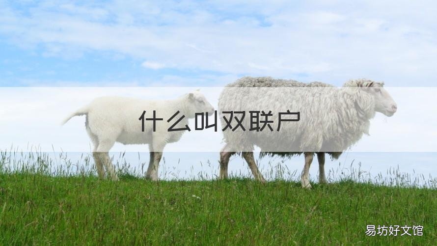 什么叫双联户 什么是双联户